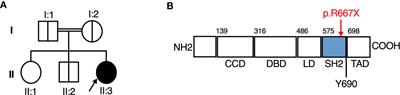 Life-Threatening Influenza, Hemophagocytic Lymphohistiocytosis and Probable Vaccine-Strain Varicella in a Novel Case of Homozygous STAT2 Deficiency